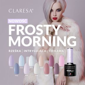 Claresa Frosty Morning 6 kolorowy...