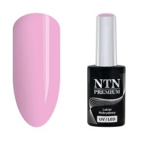 NTN Premium 03 Gossip Girl...