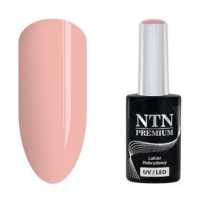 NTN Premium 59 Day Dreaming...