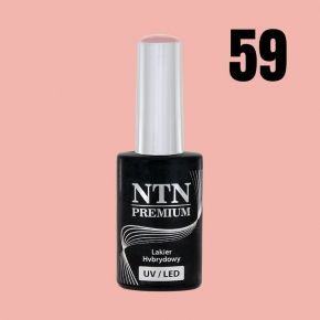NTN Premium 59 Day Dreaming...