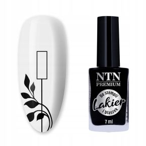 NTN Premium Lakier do...