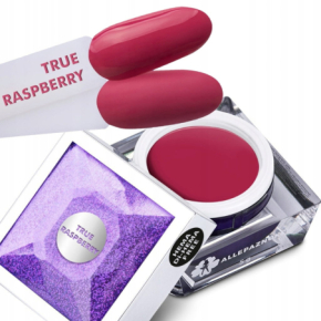 AllePaznokcie Artistic Gel Be on Trend 40 True Raspberry Żel do zdobień ombre i ornamentów 5g