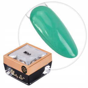 Molly Lac Paint Gel 13 Mint Żel do zdobień ombre i ornamentów HEMA/Di-HEMA Free 5g