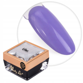 Molly Lac Paint Gel 17 Lilac Żel do zdobień ombre i ornamentów HEMA/Di-HEMA Free 5g