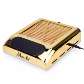 Pochłaniacz pyłu 80W kasetowy Molly Lac Gold złoty