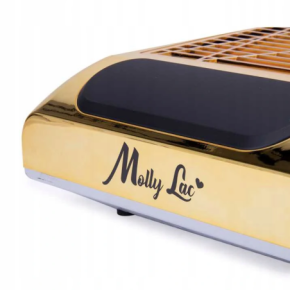 Pochłaniacz pyłu 80W kasetowy Molly Lac Gold złoty