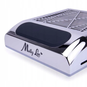 Pochłaniacz pyłu 80W kasetowy Molly Lac Silver srebrny